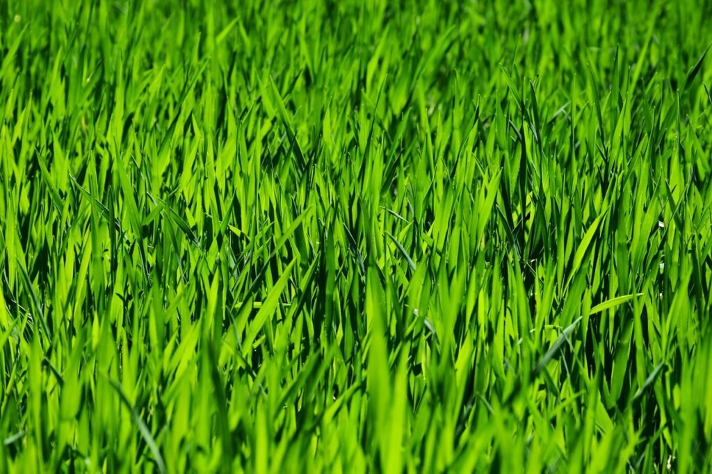 Can I Use An Electric Lawn Mower To Create Intricate Patterns On My Lawn?