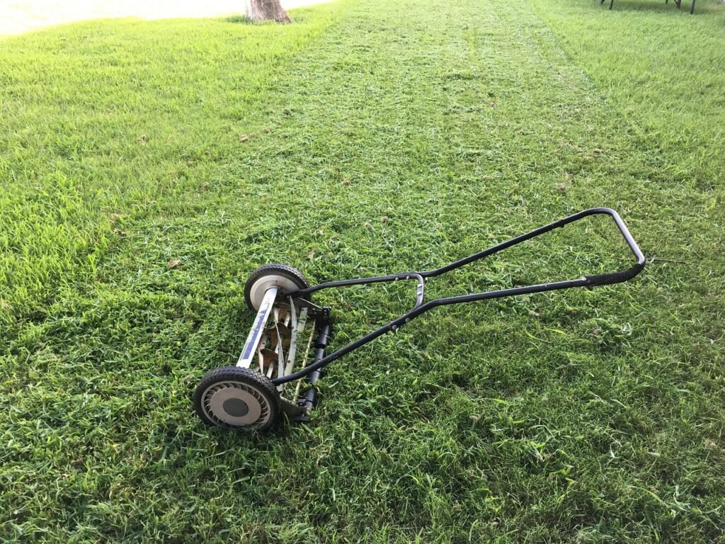 Can I Use An Electric Lawn Mower To Trim Edges And Borders?
