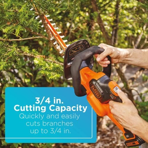 Cordless Hedge Trimmer Powercut 22-Inch Review