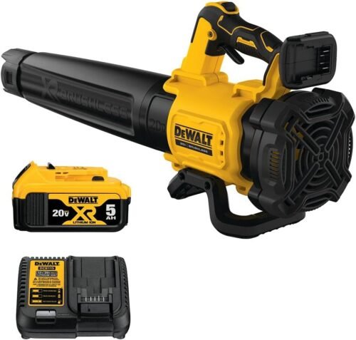 DEWALT 20V MAX* XR Leaf Blower Review