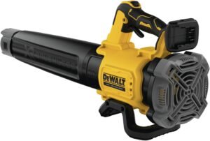 DEWALT DCBL722B